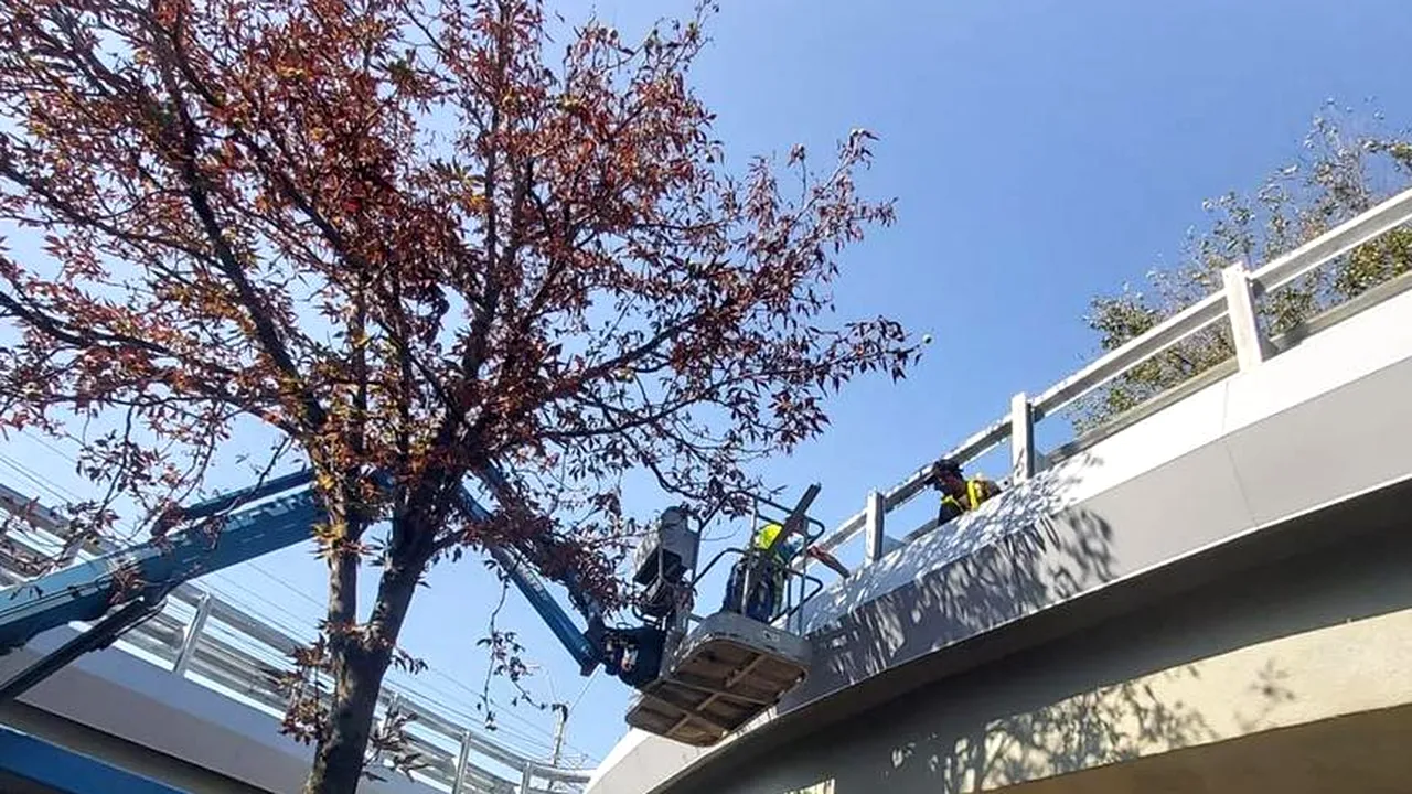 Reabilitarea Podului Grant, pe ultima sută de metri. Nicușor Dan: Lucrările au fost executate în proporție de aproximativ 98%